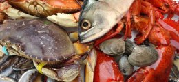 Los beneficios de comer pescado